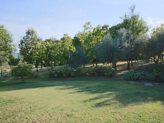 Fattoria Villastrada Umbra Registrazione all'aperto 16