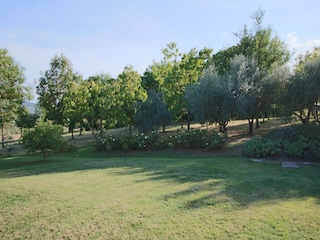Type de propriété : Ferme Villastrada Umbra Enregistrement extérieur 16