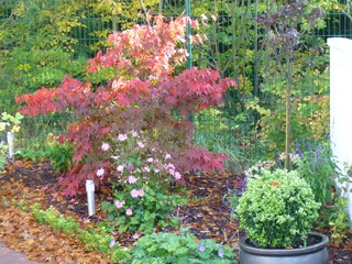 Appartamento per vacanze Pinneberg Registrazione all'aperto 3