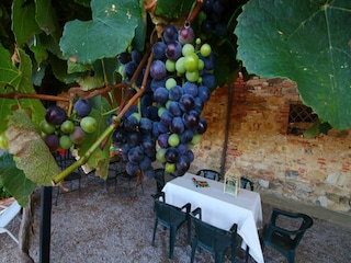 Bauernhof Villastrada Umbra  33