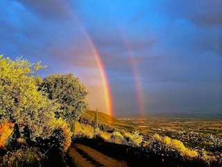 Fattoria Villastrada Umbra Ambiente 26