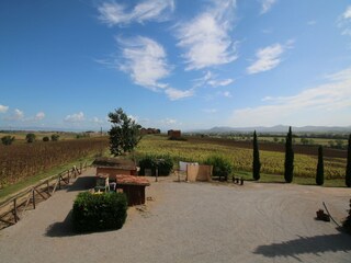 Fattoria Villastrada Umbra Registrazione all'aperto 17