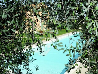 Casa de campo Villastrada Umbra Grabación al aire libre 2