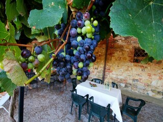 Boerderij Villastrada Umbra Buitenaudio-opname 15