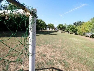 Fattoria Villastrada Umbra  39