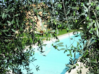 Fattoria Villastrada Umbra Registrazione all'aperto 2