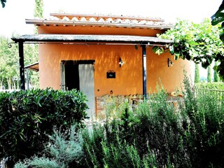 Type de propriété : Ferme Villastrada Umbra Enregistrement extérieur 11