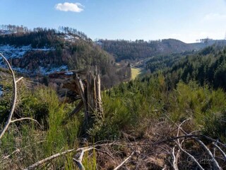 Apartamento Bad Berleburg Entorno 29