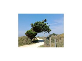 Maison de vacances Saint-Georges-d'Oléron Environnement 11