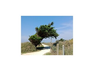 Holiday house Saint-Georges-d'Oléron Environment 10