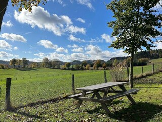 Vakantiehuis Medebach Buitenaudio-opname 2