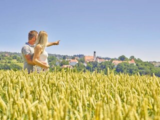 Appartamento Bad Griesbach Ambiente 32