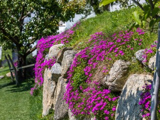 Appartamento Naturns Registrazione all'aperto 13