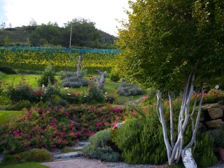 Appartamento Naturns Registrazione all'aperto 15