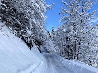 Apartment Cauterets  3