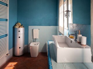 Farmhouse Capraia e Limite Features 26