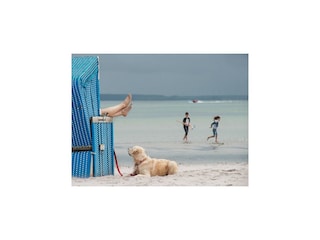 Vakantiepark Damp Omgeving 20