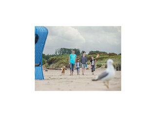 Ferienpark Damp Umgebung 20