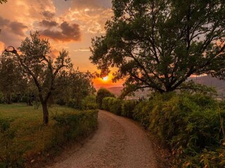 Villa Cortona Ambiente 34