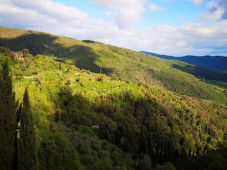 Villa Cortona Omgeving 27