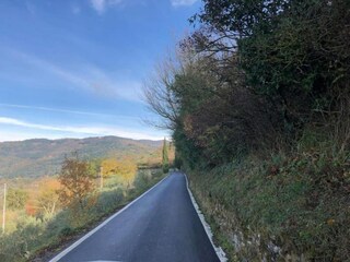 Villa Cortona Environnement 33