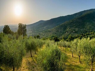 Villa Cortona Ambiente 39