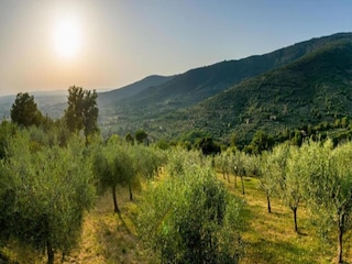 Villa Cortona Umgebung 39