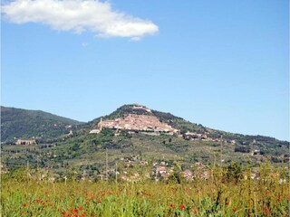 Villa Cortona Omgeving 21