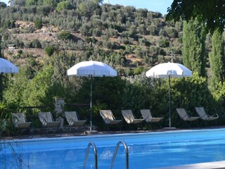 Vakantiehuisje Seggiano Buitenaudio-opname 4