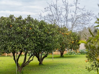 Villa Llubi Außenaufnahme 6