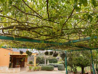 Villa Llubi Outdoor Recording 14