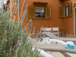Villa Llubi  44