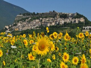 Villa Mosciano Sant Angelo Entorno 32