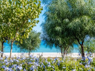 Villa Santa Caterina dello Ionio Buitenaudio-opname 2