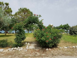 Villa Santa Caterina dello Ionio Außenaufnahme 17