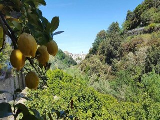Villa Santa Caterina dello Ionio Ambiente 30