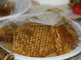 Casa per le vacanze Santa Caterina dello Ionio  39