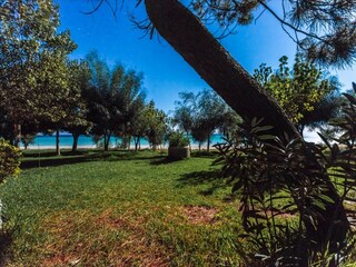 Vakantiehuis Santa Caterina dello Ionio Buitenaudio-opname 16