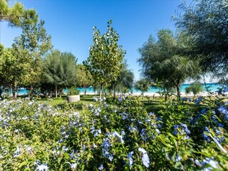 Vakantiehuis Santa Caterina dello Ionio Buitenaudio-opname 17