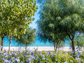 Casa per le vacanze Santa Caterina dello Ionio Registrazione all'aperto 7