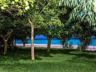 Casa per le vacanze Santa Caterina dello Ionio Registrazione all'aperto 11