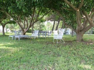 Villa Santa Caterina dello Ionio Buitenaudio-opname 6