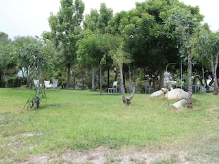 Villa Santa Caterina dello Ionio Außenaufnahme 14