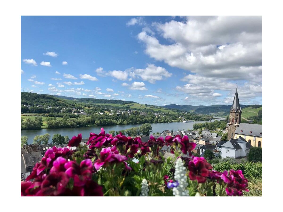 Aussicht von der Terrasse