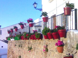 Holiday house Priego de Córdoba  33