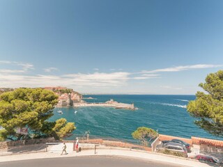 Appartement Collioure  14
