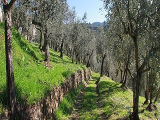 Parco vacanze Lamporecchio Ambiente 20