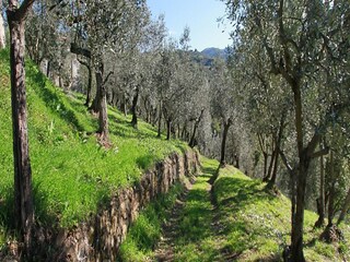 Holiday park Lamporecchio Environment 20