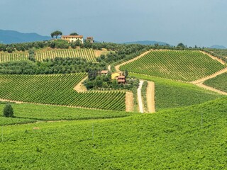 Holiday park Lamporecchio  24