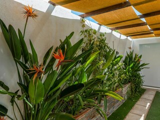 Vakantiehuis Moriles  23